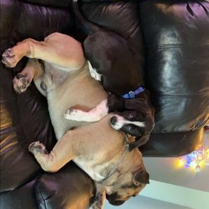 Meet your Posher, Robert